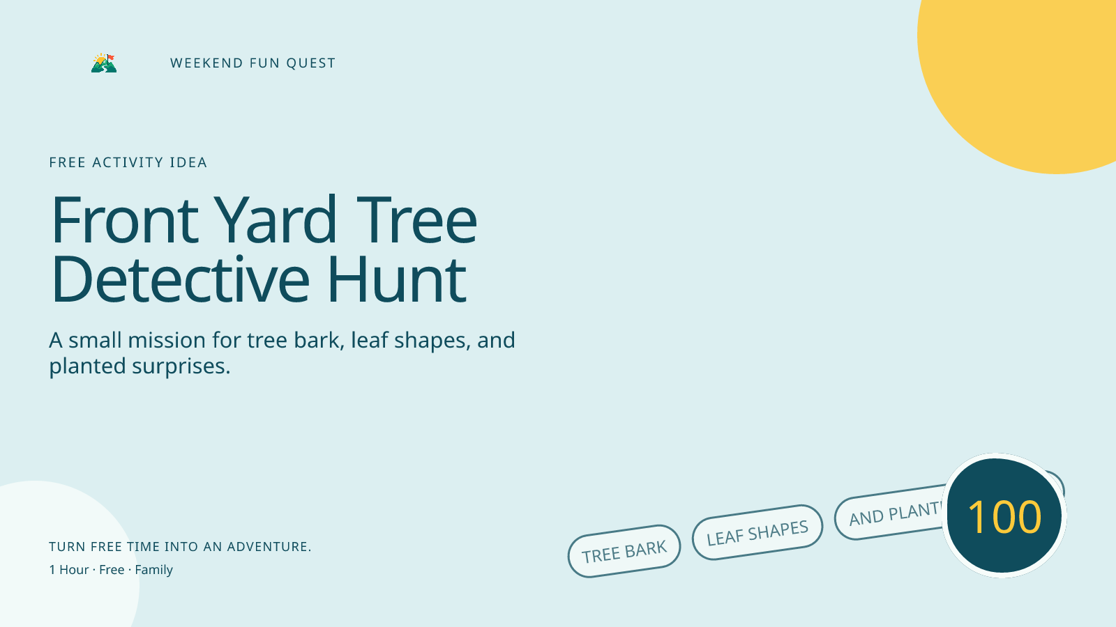 Wide Weekend Fun Quest illustration for front yard tree detective hunt featuring tree bark, leaf shapes, and planted surprises